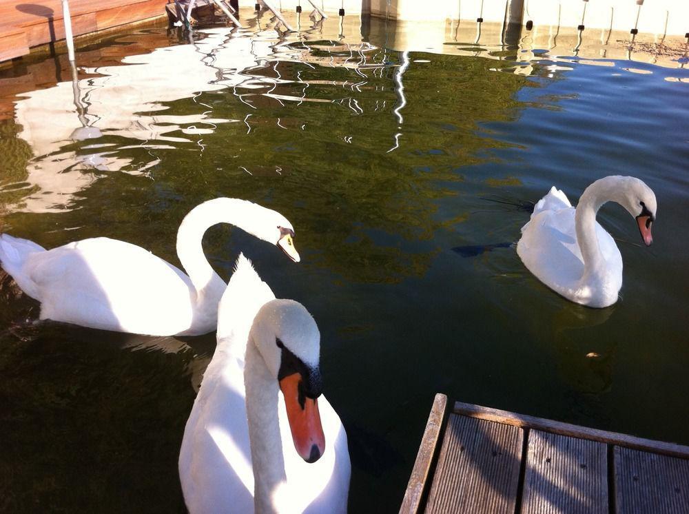 Ajo Apartments - Alte Donau Waterfront - Self-Check-In Apartment Vienna